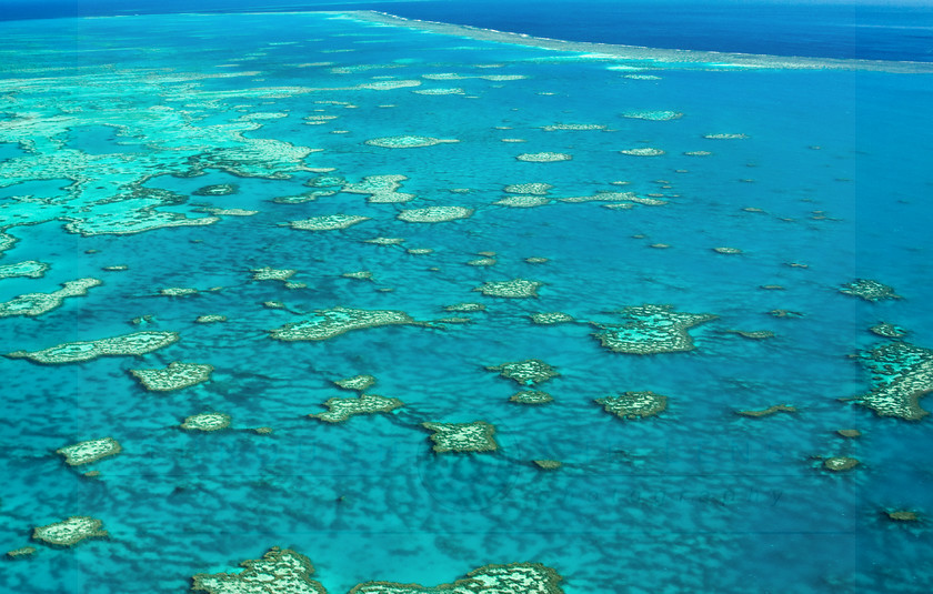 Great Barrier Reef no2