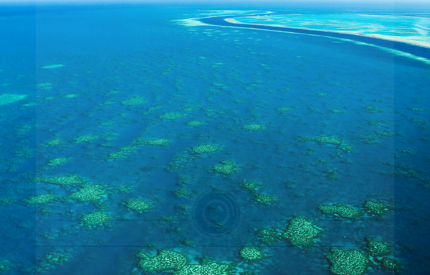 Great Barrier Reef no4 copy