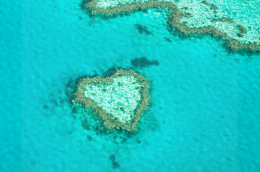Heart Reef, Whitsunday Islands