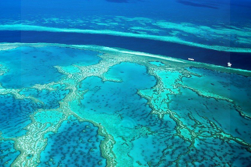 Great Barrier Reef no7 copy