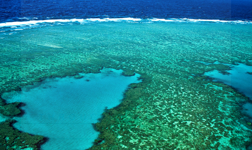 Great Barrier Reef no1 copy