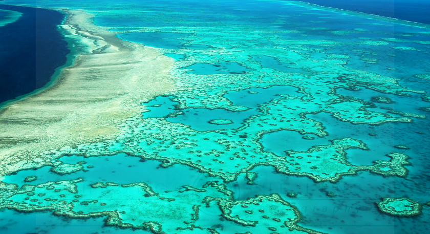 Great Barrier Reef no3